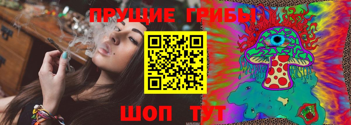 Нововоронеж  Псилоцибиновые грибы Cubensis  Вход с VPN 